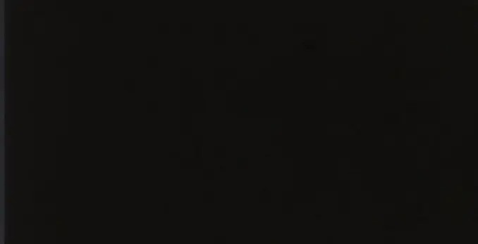 NEGRO BISELADO BRILLO 10X20 1