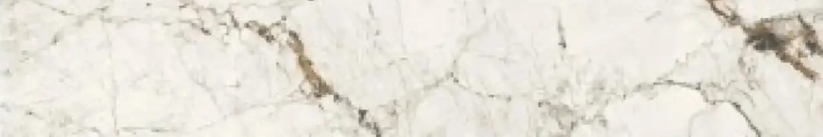 PG FOREST SILVER 20X120 ČELO