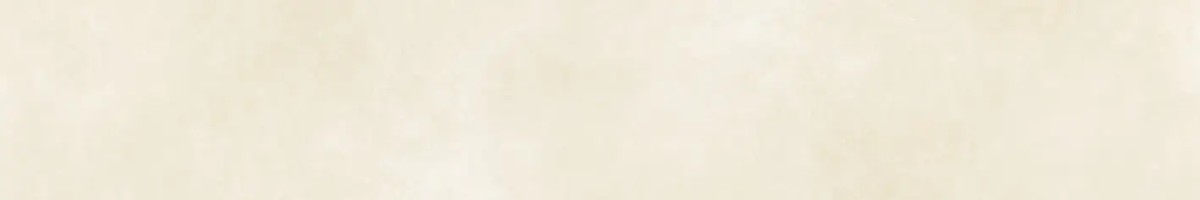 MG EVOLUTION IVO.20X121 ČELO